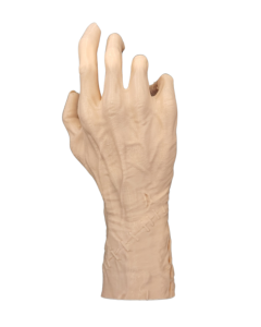 Zombie Hand - With Stake